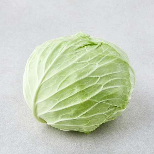 작아도 맛있는 양배추