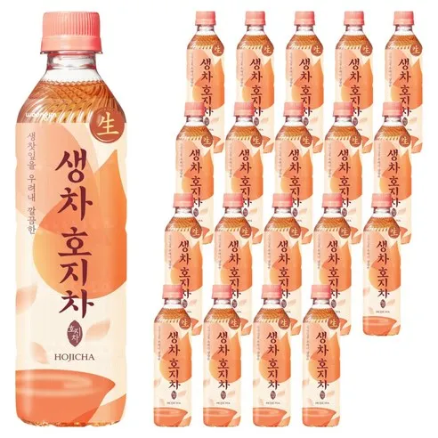웅진 생차 호지차