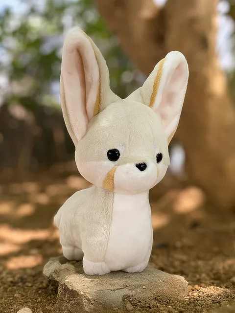 미니 사막여우 페니