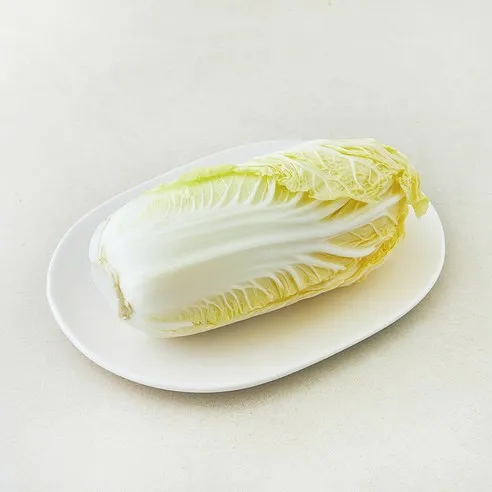 전남 진도 알배기