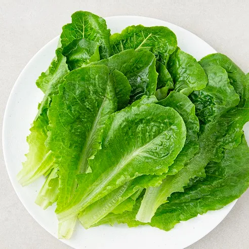로메인 상추