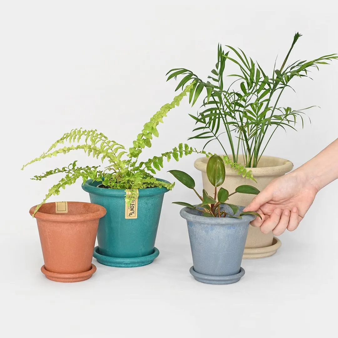 마이플랜트 에코팟 받침 세트 인테리어 컬러 화분 5colors