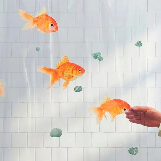 하이앤드라이 금붕어 방수 샤워커튼 커튼링 포함 안티곰팡이 욕실 세탁실 방수커튼