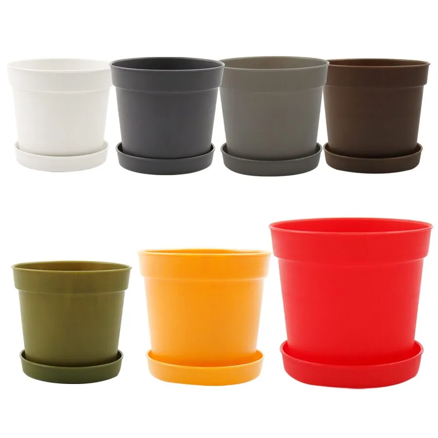 갑조네 담따화분_4sizes 7colors