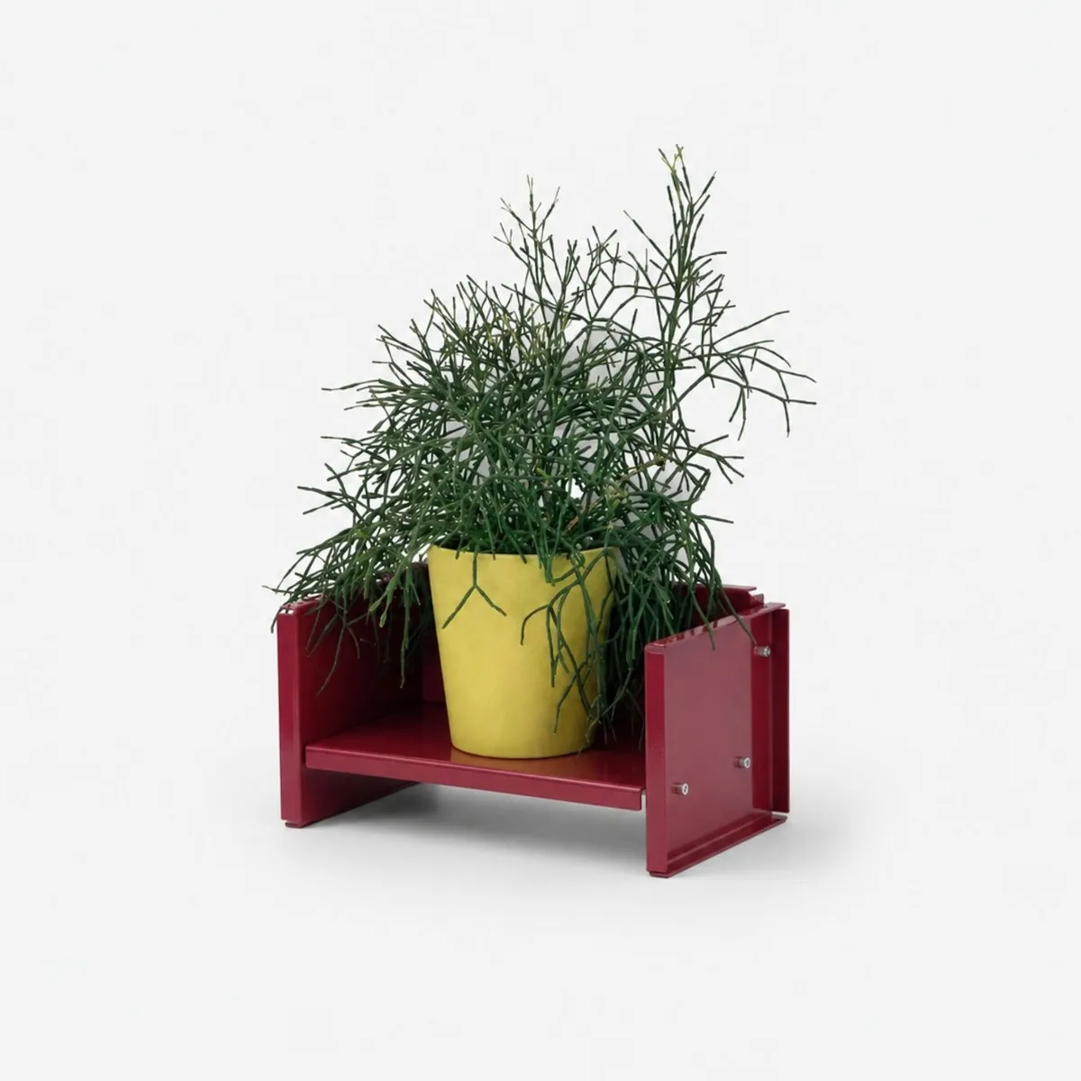폼오브팅스 ant mini shelf 앤트 미니 쉘브