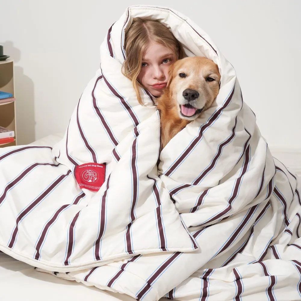 댄스온더플로어 Furless aerogel Duvet 퍼리스 에어로겔 이불 아이보리 SS QK