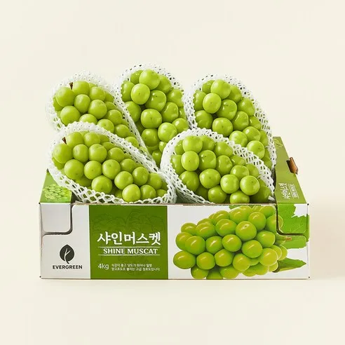 한반도 비파괴 당도선별 샤인머스켓